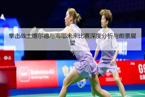 拳击战士维尔德与海耶未来比赛深度分析与前景展望